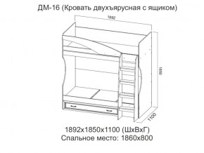 ДМ-16 Кровать двухъярусная с ящиком в Надыме - nadym.magazin-mebel74.ru | фото