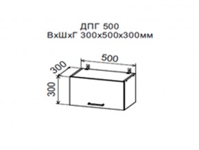 Шкаф верхний ДПГ500 горизонтальный в Надыме - nadym.magazin-mebel74.ru | фото
