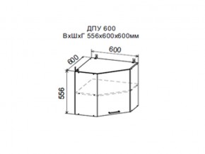 Шкаф верхний ДПУ600 угловой в Надыме - nadym.magazin-mebel74.ru | фото